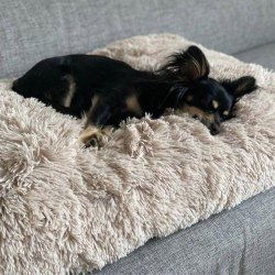 Fluffy Hundepude i plys